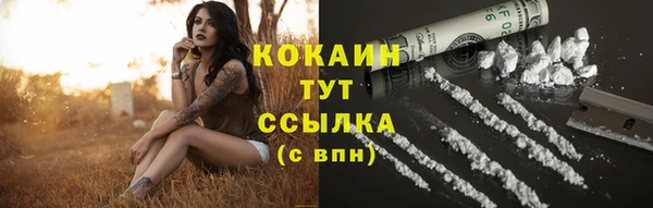 дживик Алзамай