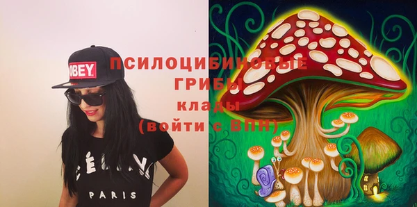 дживик Алзамай